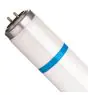 Philips TL-D MASTER Secura Actinic BL 15W - Blacklight | 44cm
